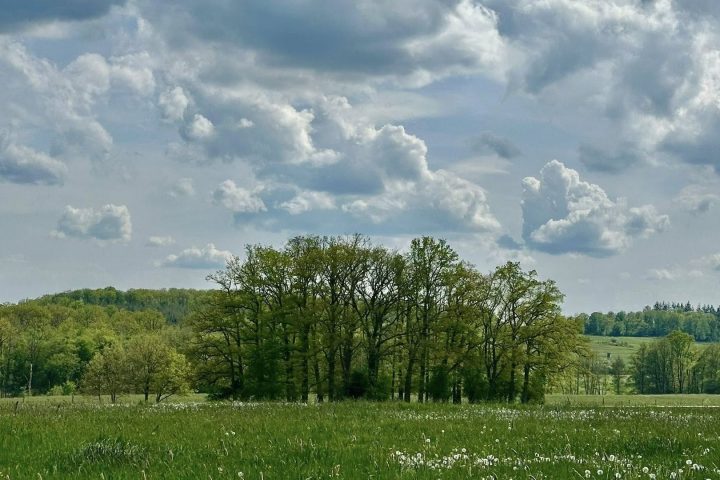 Météo en Belgique : ciel changeant avec des pluies intermittentes attendues