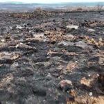 Premières images du paysage des Hautes Fagnes transformé après l'incendie