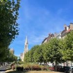 Schaerbeek va revoir son projet d'abattage des platanes sur l'avenue Louis Bertrand