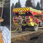 Un chevreuil blessé découvert par les pompiers dans les Hautes Fagnes alors que les incendies persistent