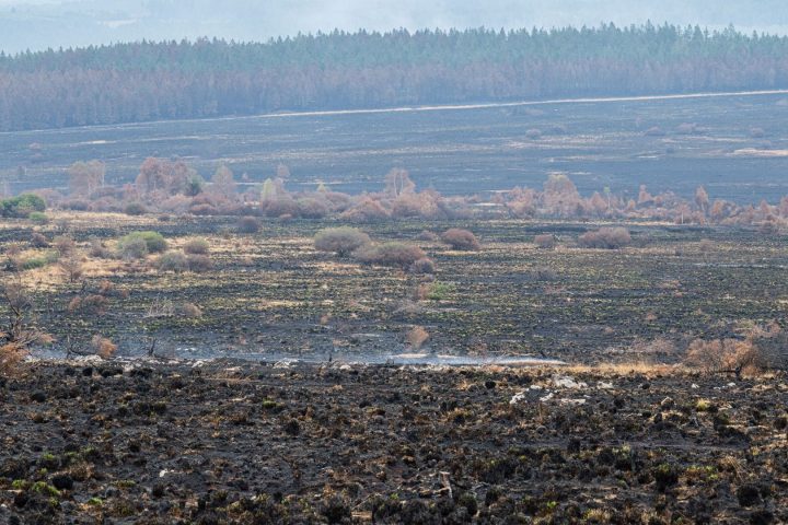 Un incendie dans la région des Fagnes pourrait être lié à des activités de machines agricoles