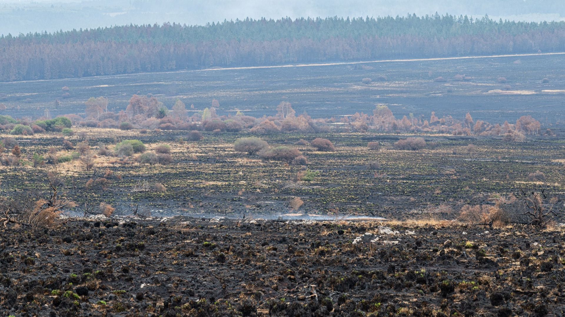 Un incendie dans la région des Fagnes pourrait être lié à des activités de machines agricoles