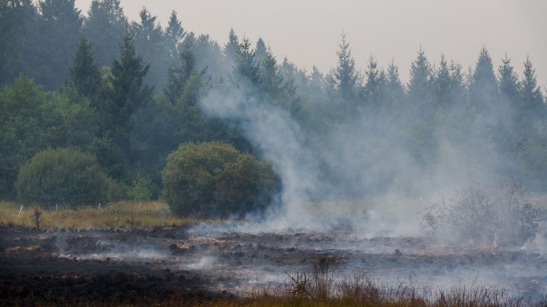 Un incendie dans les Hautes Fagnes entraîne de nouvelles évacuations à Kalterherberg, près de la frontière allemande
