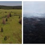 Un incendie ravage le paysage des Hautes Fagnes, suscitant des inquiétudes parmi les conservationnistes locaux