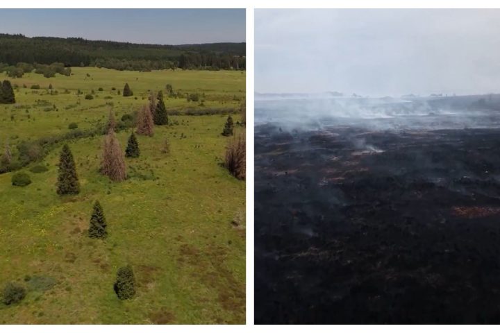 Un incendie ravage le paysage des Hautes Fagnes, suscitant des inquiétudes parmi les conservationnistes locaux