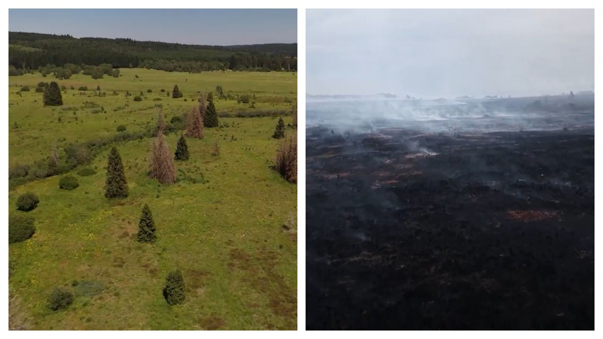 Un incendie ravage le paysage des Hautes Fagnes, suscitant des inquiétudes parmi les conservationnistes locaux