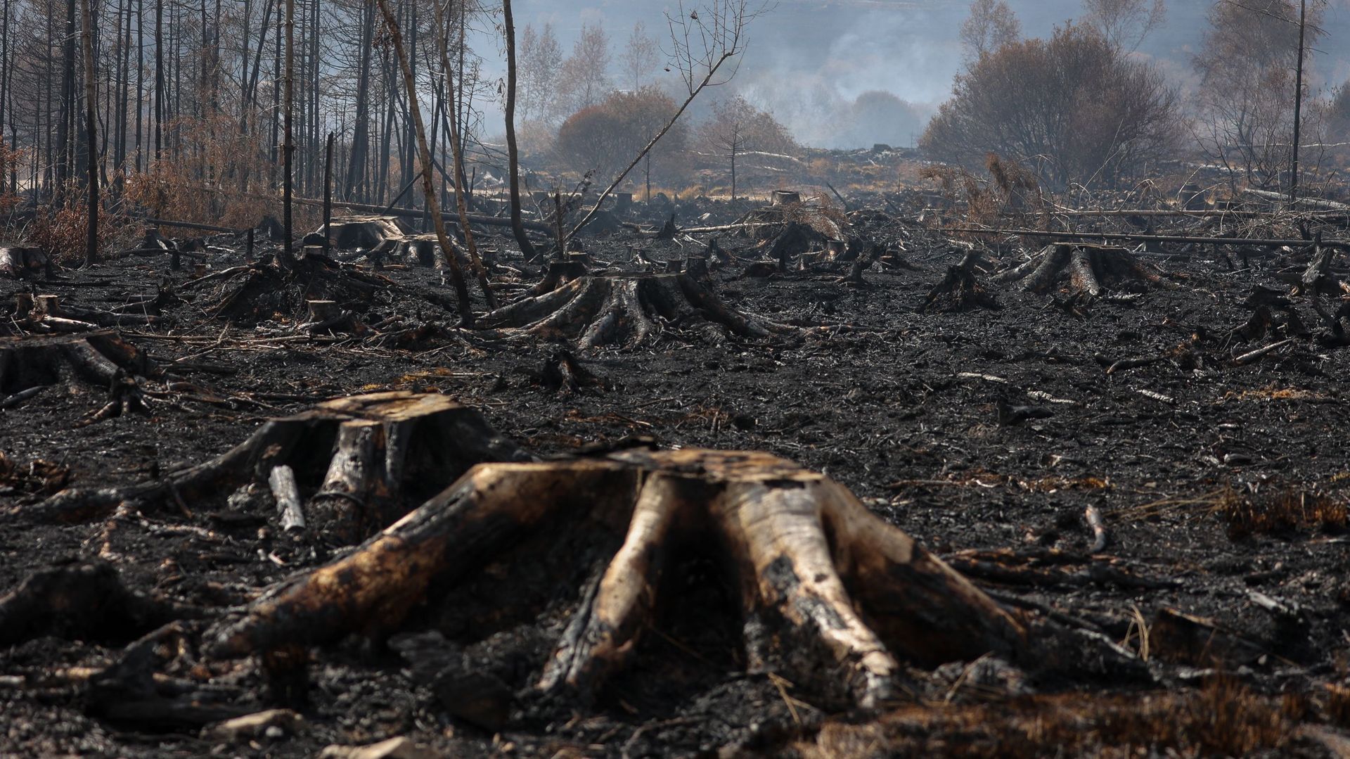 Un nouvel incendie se déclare dans les Hautes Fagnes alors que la fumée s'accumule durant la nuit