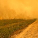 Un rapport bruxellois met en lumière les efforts des pompiers face à l'incendie des Fagnes