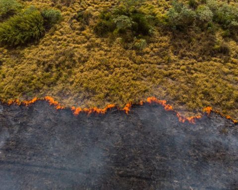 Une étude établit un lien entre le changement climatique et l'augmentation du risque d'incendies de forêt en Argentine et au Chili