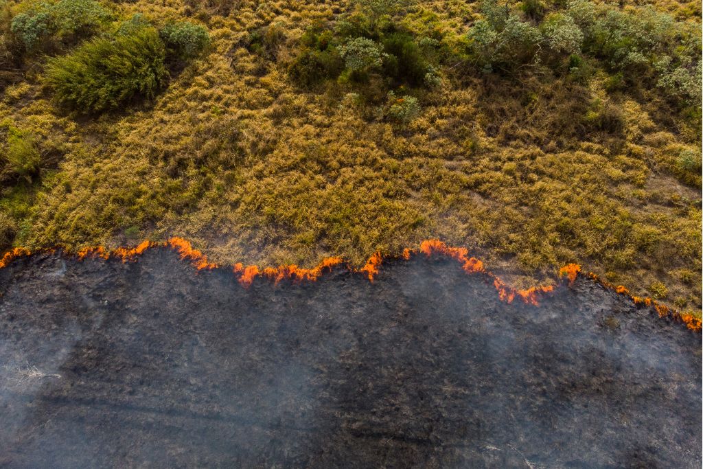 Une étude établit un lien entre le changement climatique et l'augmentation du risque d'incendies de forêt en Argentine et au Chili