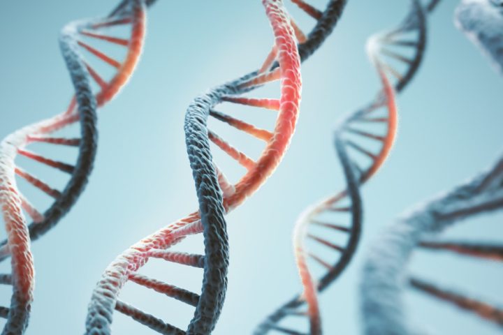 Anthropic ouvre un laboratoire de biologie pour améliorer les capacités de l'IA dans les expériences réelles