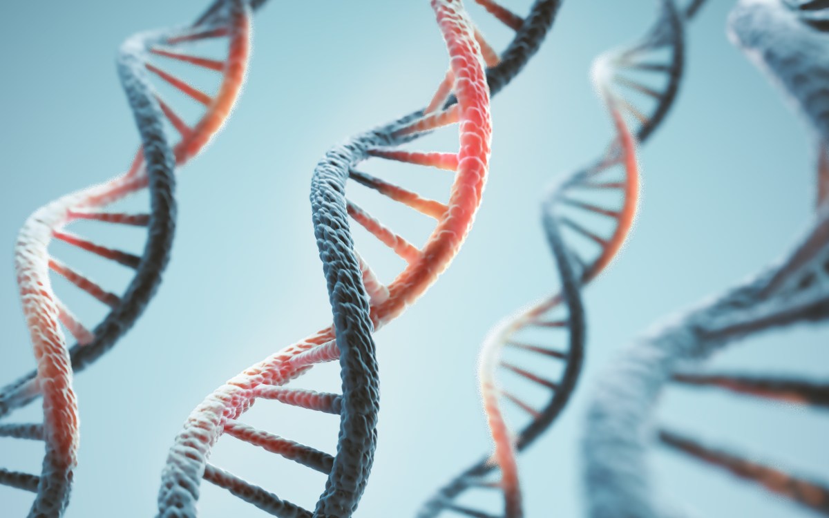 Anthropic ouvre un laboratoire de biologie pour améliorer les capacités de l'IA dans les expériences réelles