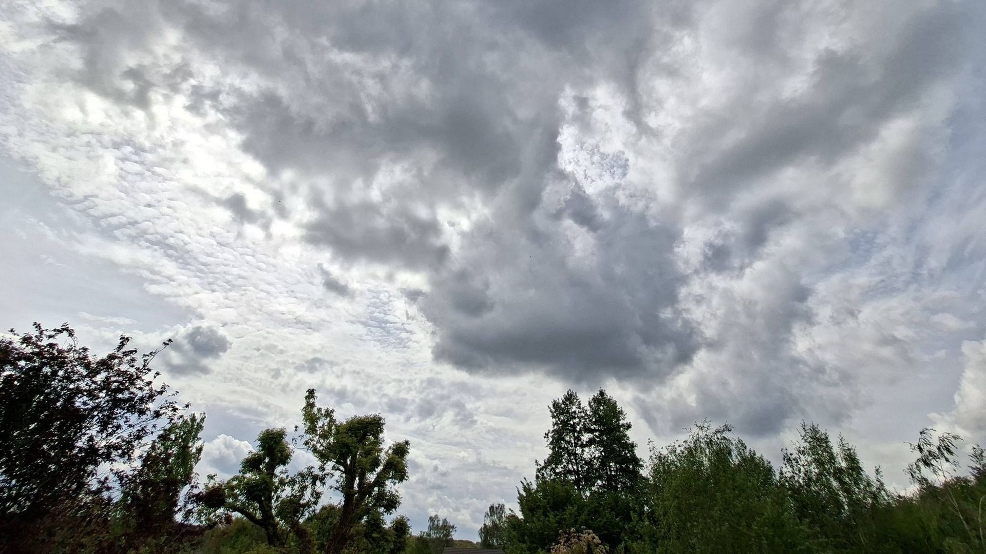 Ciel nuageux et pluie attendus sur l'ensemble de la Belgique aujourd'hui
