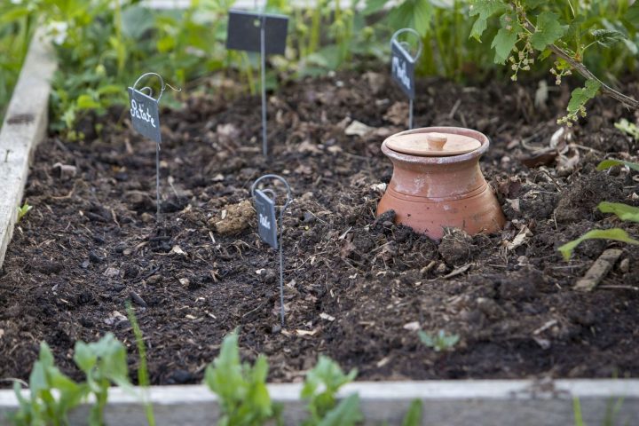 Comment économiser l'eau au jardin sans nuire aux plantes en pleine sécheresse en Belgique