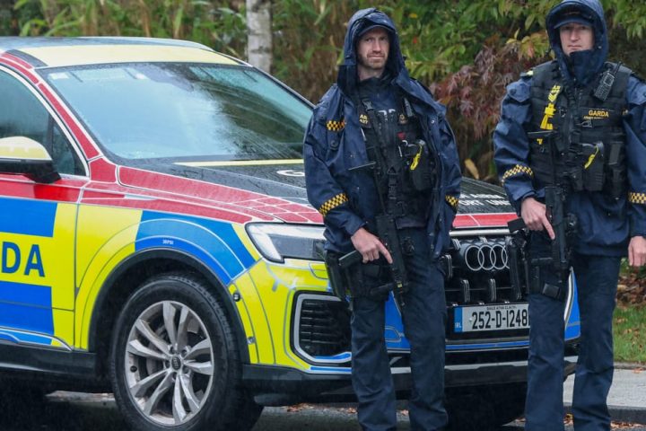 Des inquiétudes croissantes pour la sécurité des politiciens irlandais après l'agression de Michael Healy-Rae