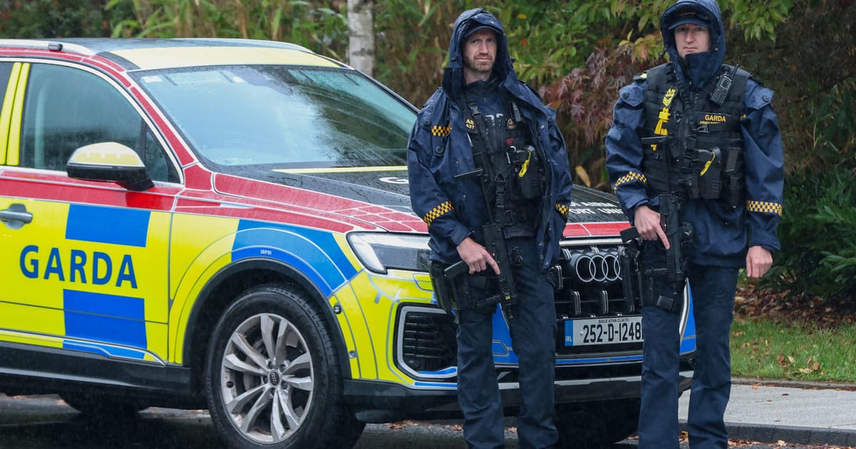 Des inquiétudes croissantes pour la sécurité des politiciens irlandais après l'agression de Michael Healy-Rae