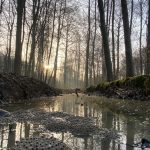 Événement de marche Adeps à Watermael-Boitsfort le 6 septembre avec des parcours pittoresques
