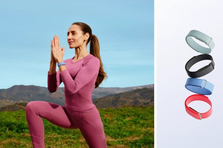 Google lance le Fitbit Air sans écran en Inde au prix de 13 999 ₹