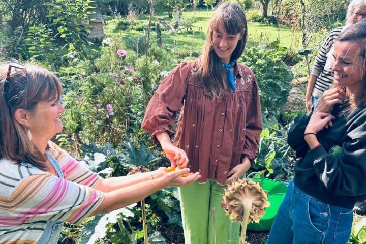 Jardinage d'automne en Belgique : les préparatifs pour l'hiver avancent dans les jardins communautaires