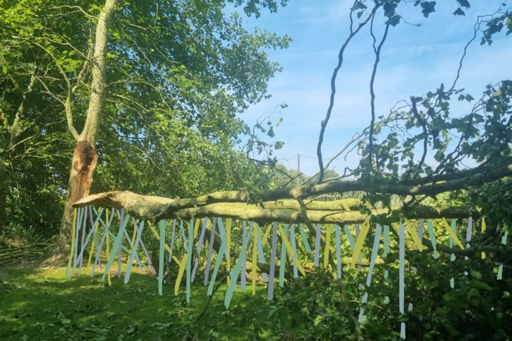 La Biennale BUTOR d'art contemporain se déroule jusqu'au 4 octobre à Molenbaix, en Wallonie