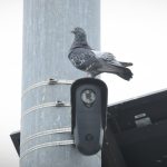La Floride et le Texas mettent fin à leurs contrats avec Flock en raison de préoccupations liées à la vie privée