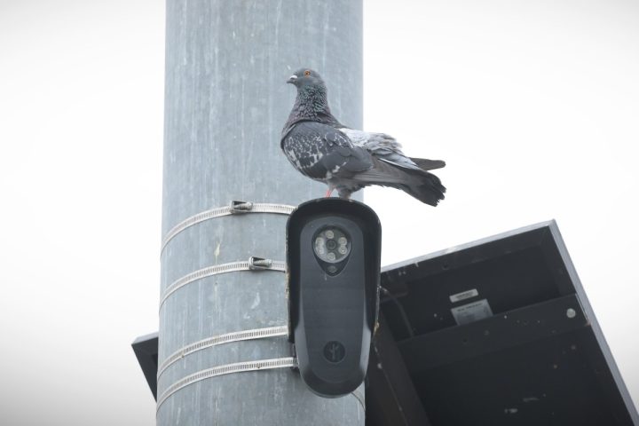 La Floride et le Texas mettent fin à leurs contrats avec Flock en raison de préoccupations liées à la vie privée