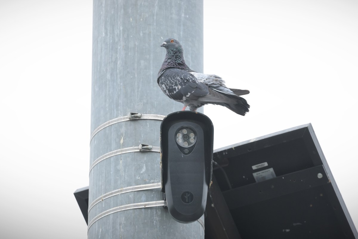 La Floride et le Texas mettent fin à leurs contrats avec Flock en raison de préoccupations liées à la vie privée