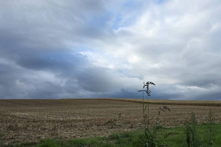 La météo variable en Belgique apportera nuages et pluies fréquentes ce dimanche