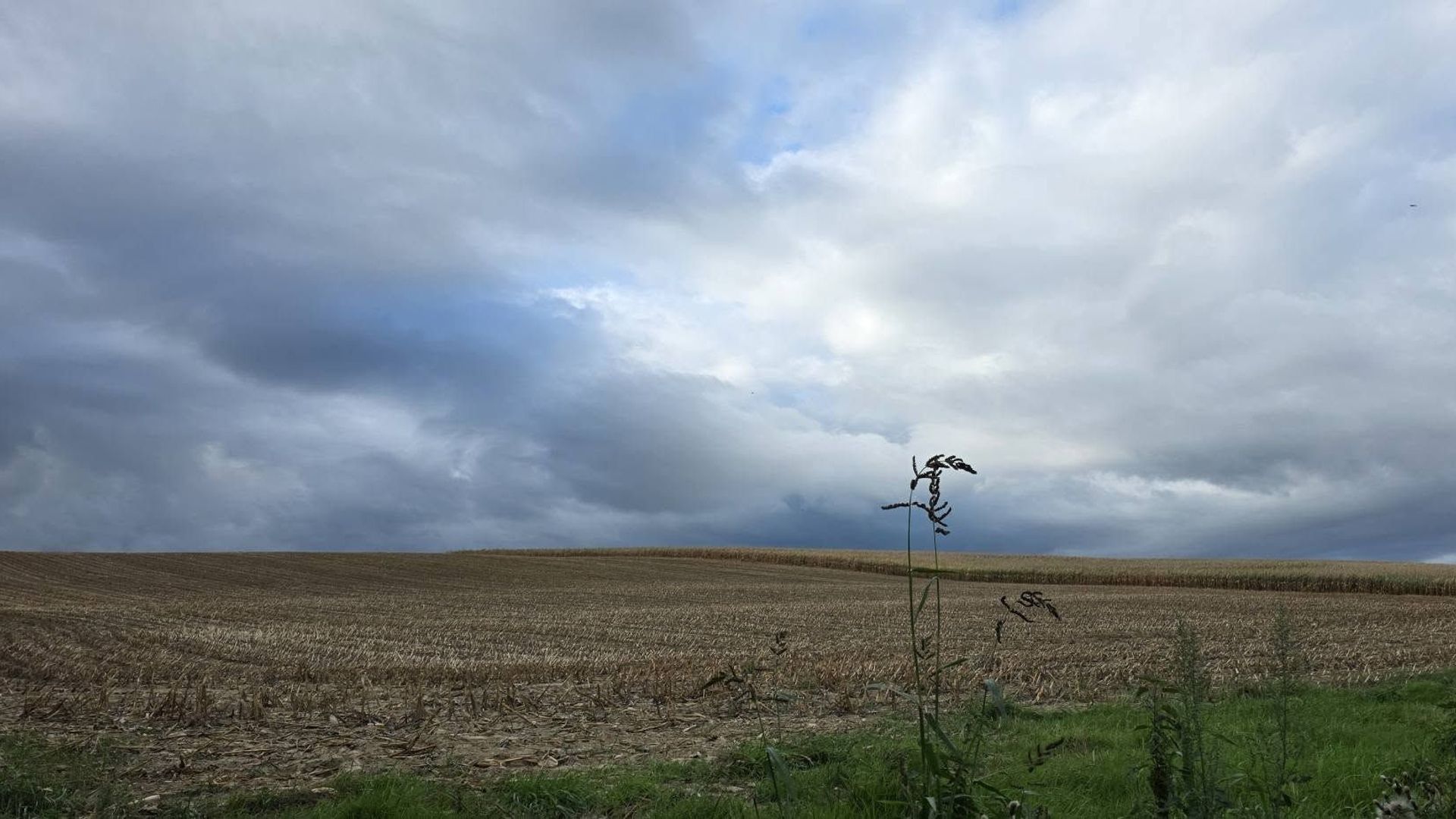 La météo variable en Belgique apportera nuages et pluies fréquentes ce dimanche