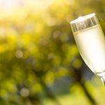 La récolte 2026 de Champagne face à un dilemme alcoolique, la Belgique évite des problèmes similaires