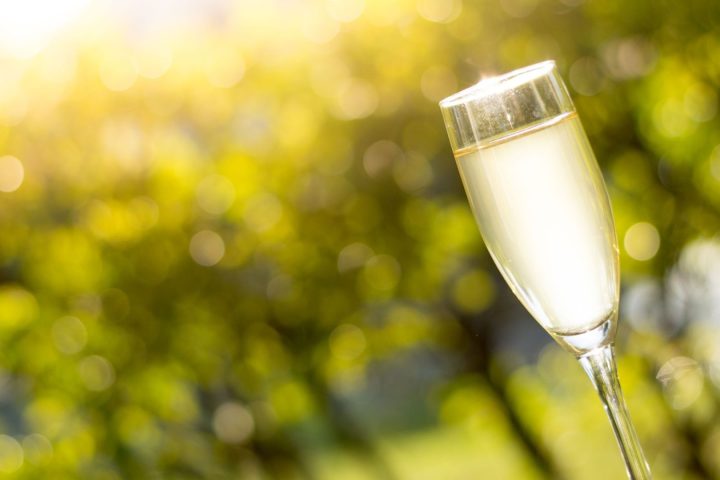La récolte 2026 de Champagne face à un dilemme alcoolique, la Belgique évite des problèmes similaires