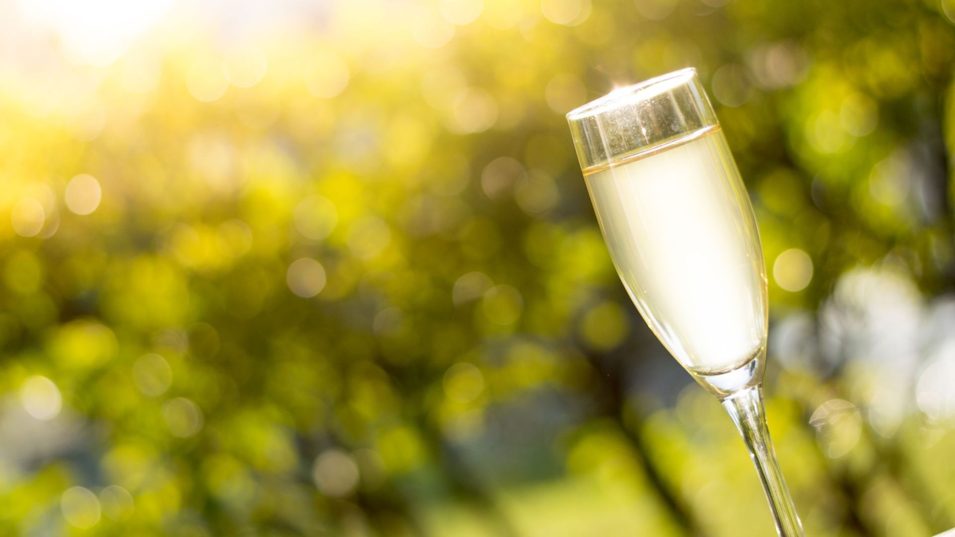 La récolte 2026 de Champagne face à un dilemme alcoolique, la Belgique évite des problèmes similaires