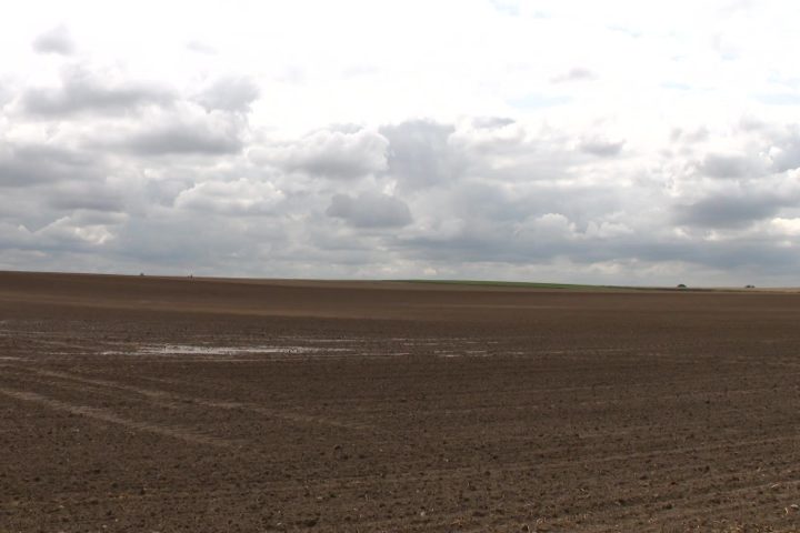 Le Blue Deal Agricole vise à promouvoir des pratiques durables pour protéger les ressources en eau