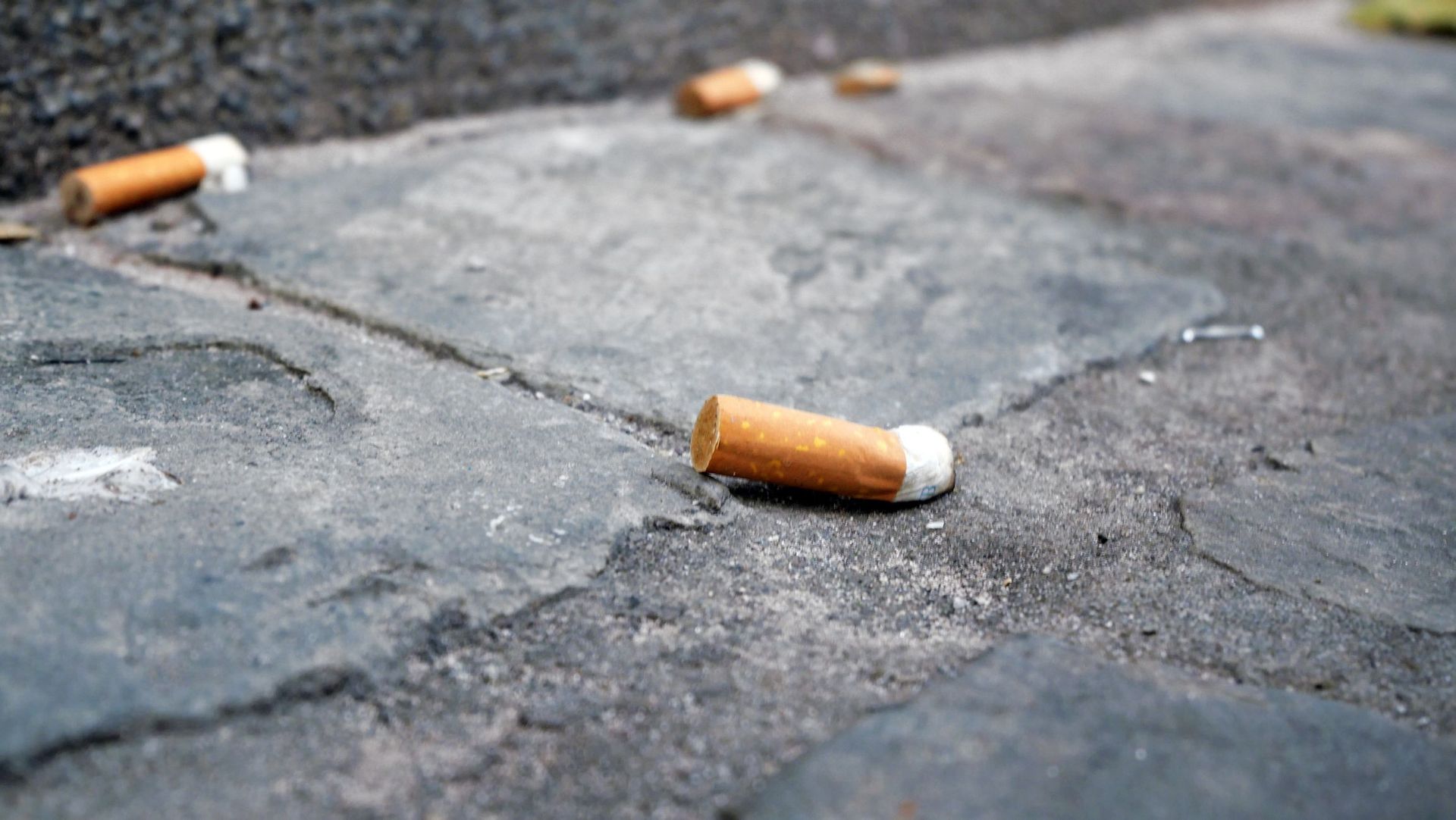 Le gouvernement wallon accélère les amendes pour les incivilités liées aux déchets avec des sanctions immédiates.