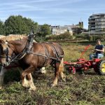 Le lac de Louvain-la-Neuve subit un drainage saisonnier pour favoriser la régénération écologique