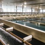 Le niveau de la Meuse chute, incitant Vivaqua à surveiller de près l'approvisionnement en eau