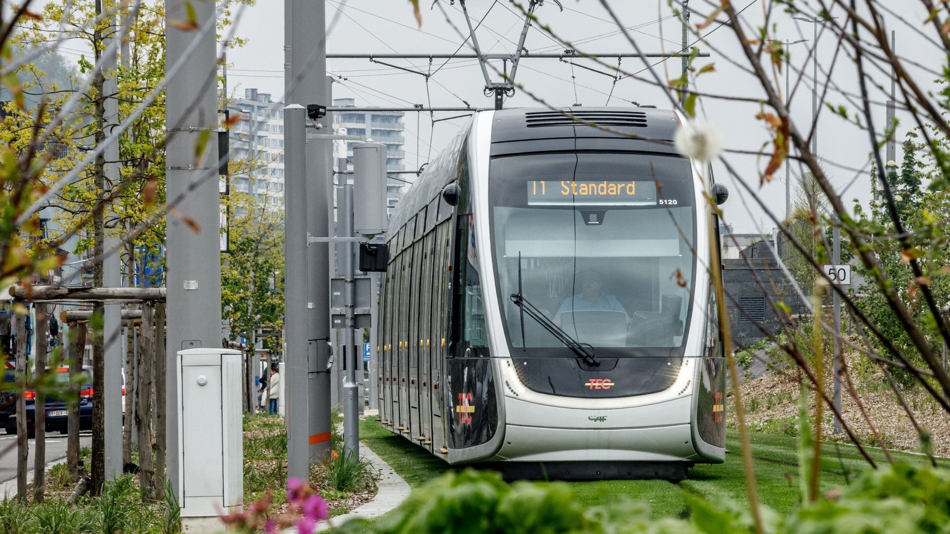 Le projet de tram de Liège confronté à un coût de 1,3 milliard d'euros et à des carences de planification importantes, selon la Cour des comptes.