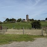 Le refuge de Soignies sollicite des dons en raison d'une pénurie de foin et de coûts croissants