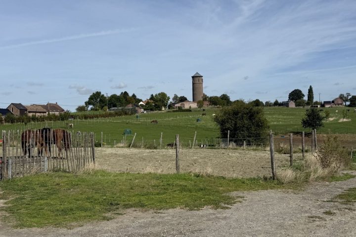 Le refuge de Soignies sollicite des dons en raison d'une pénurie de foin et de coûts croissants