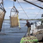 Les gouvernements nationaux de l'UE cherchent à assouplir les normes environnementales dans les règles de financement de la pêche