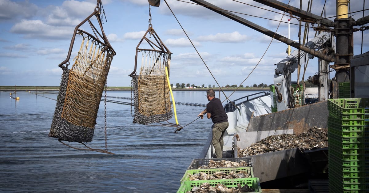 Les gouvernements nationaux de l'UE cherchent à assouplir les normes environnementales dans les règles de financement de la pêche