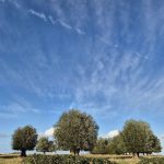 Lundi ensoleillé en Belgique avec des températures saisonnières prévues cette semaine