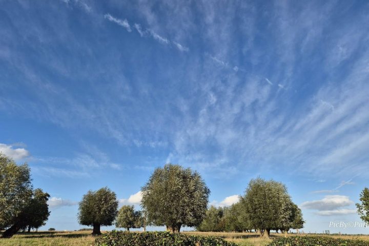 Lundi ensoleillé en Belgique avec des températures saisonnières prévues cette semaine