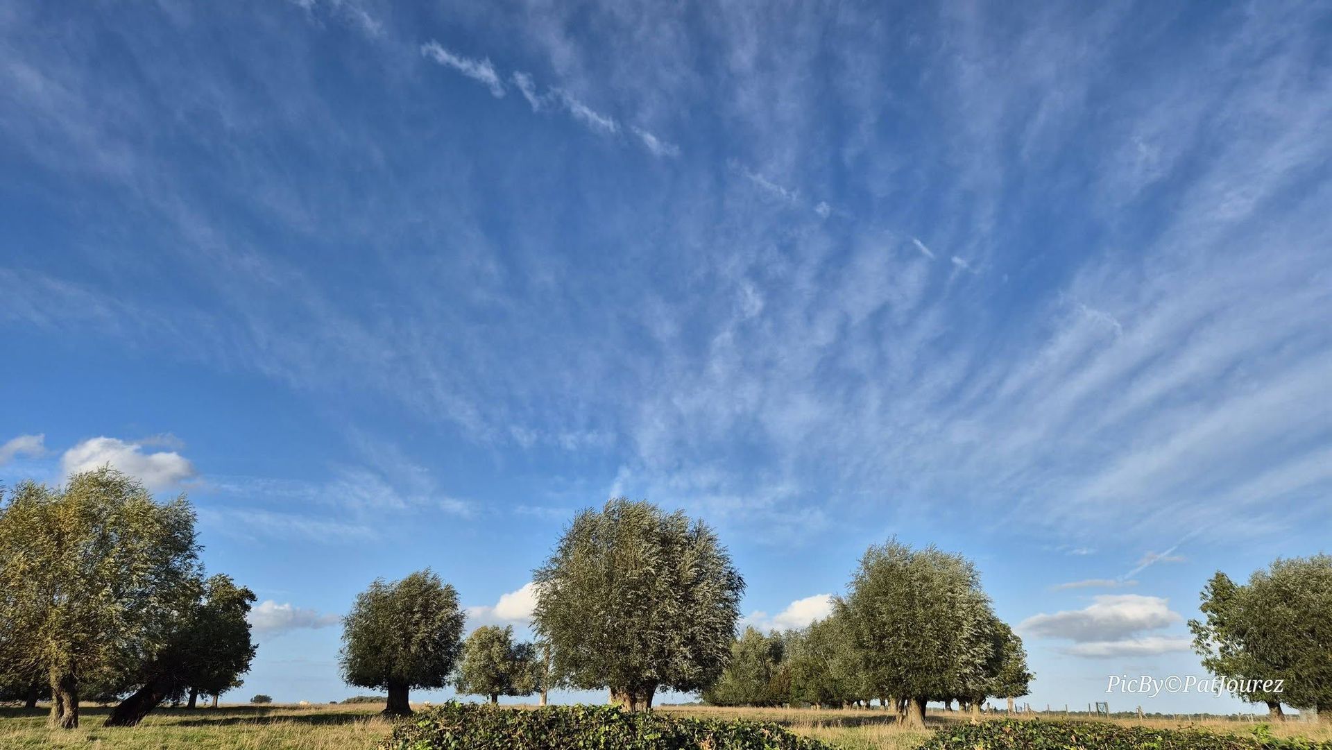 Lundi ensoleillé en Belgique avec des températures saisonnières prévues cette semaine