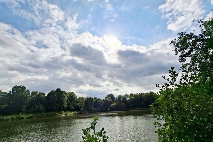 Météo matinale mixte en Belgique, avec brouillard et soleil attendu plus tard