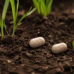 Muju Earth lance l'Aeropod pour une aération efficace des sols lors de TechCrunch Disrupt