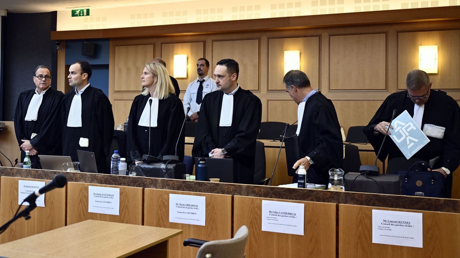 Procès Ullens : la famille se souvient de Myriam, des experts évaluent l'état d'esprit de Nicolas