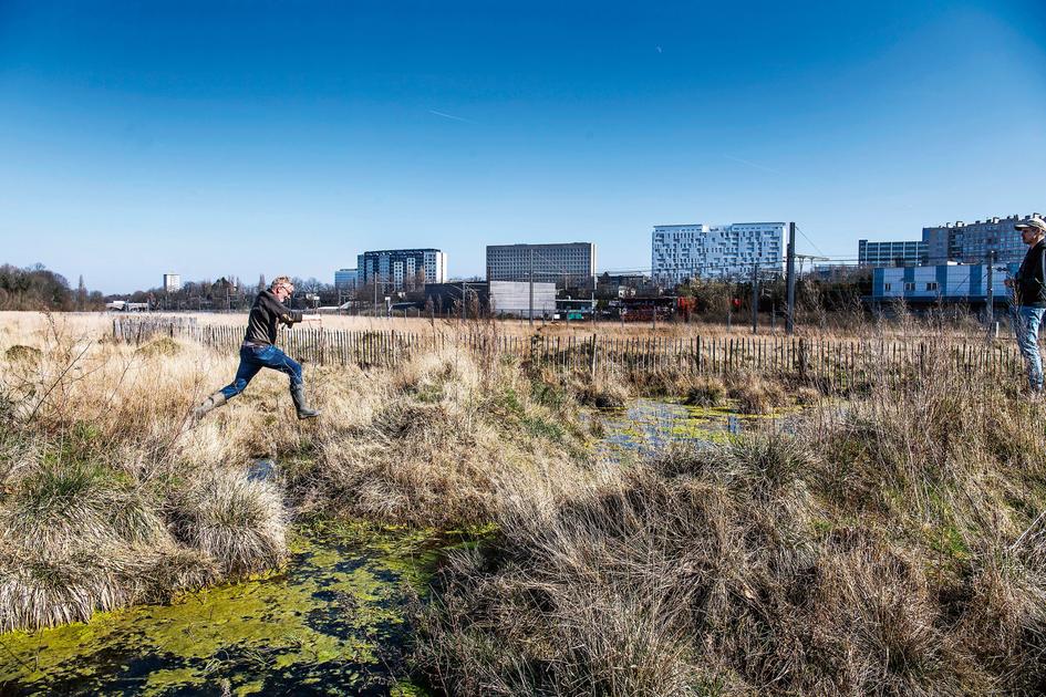 Schaerbeek reçoit 15 000 réactions contre le développement immobilier sur le site Josaphat