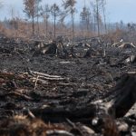 Un incendie dans les Hautes-Fagnes conduit Anne-Catherine Dalcq à lancer une enquête administrative sur les décisions du DNF