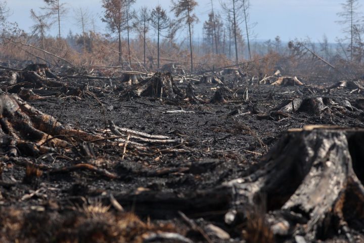 Un incendie dans les Hautes-Fagnes conduit Anne-Catherine Dalcq à lancer une enquête administrative sur les décisions du DNF